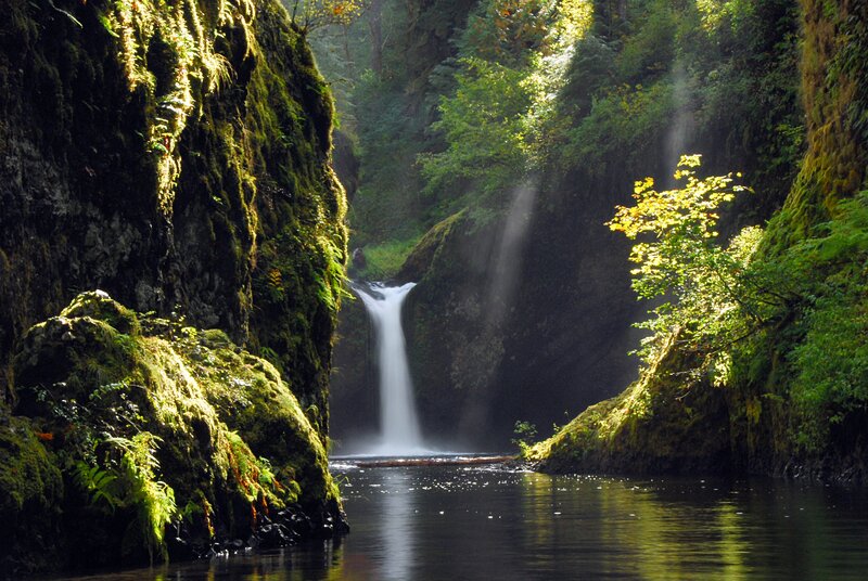Waterfall in a mossy canyon