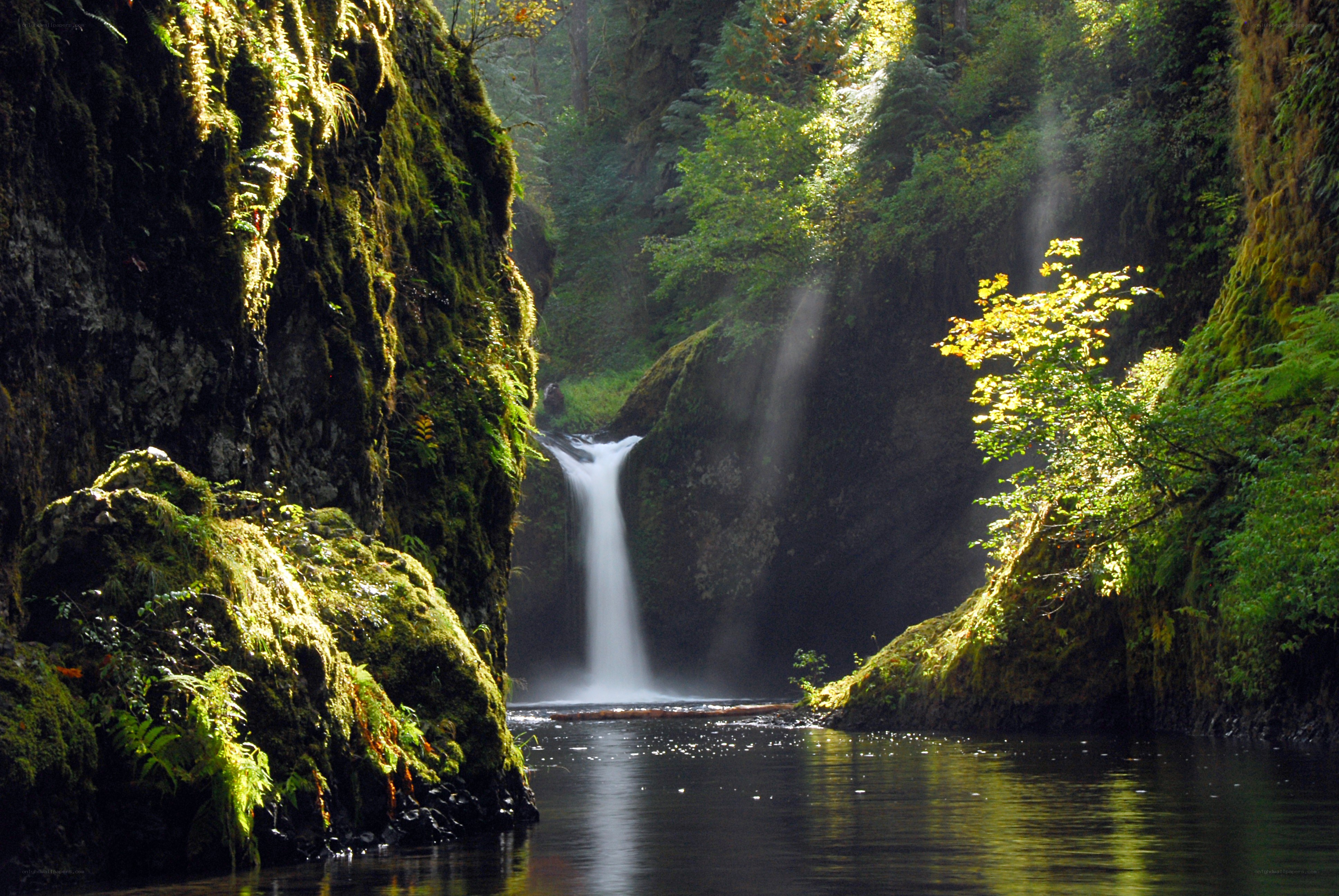 Waterfall in a mossy canyon