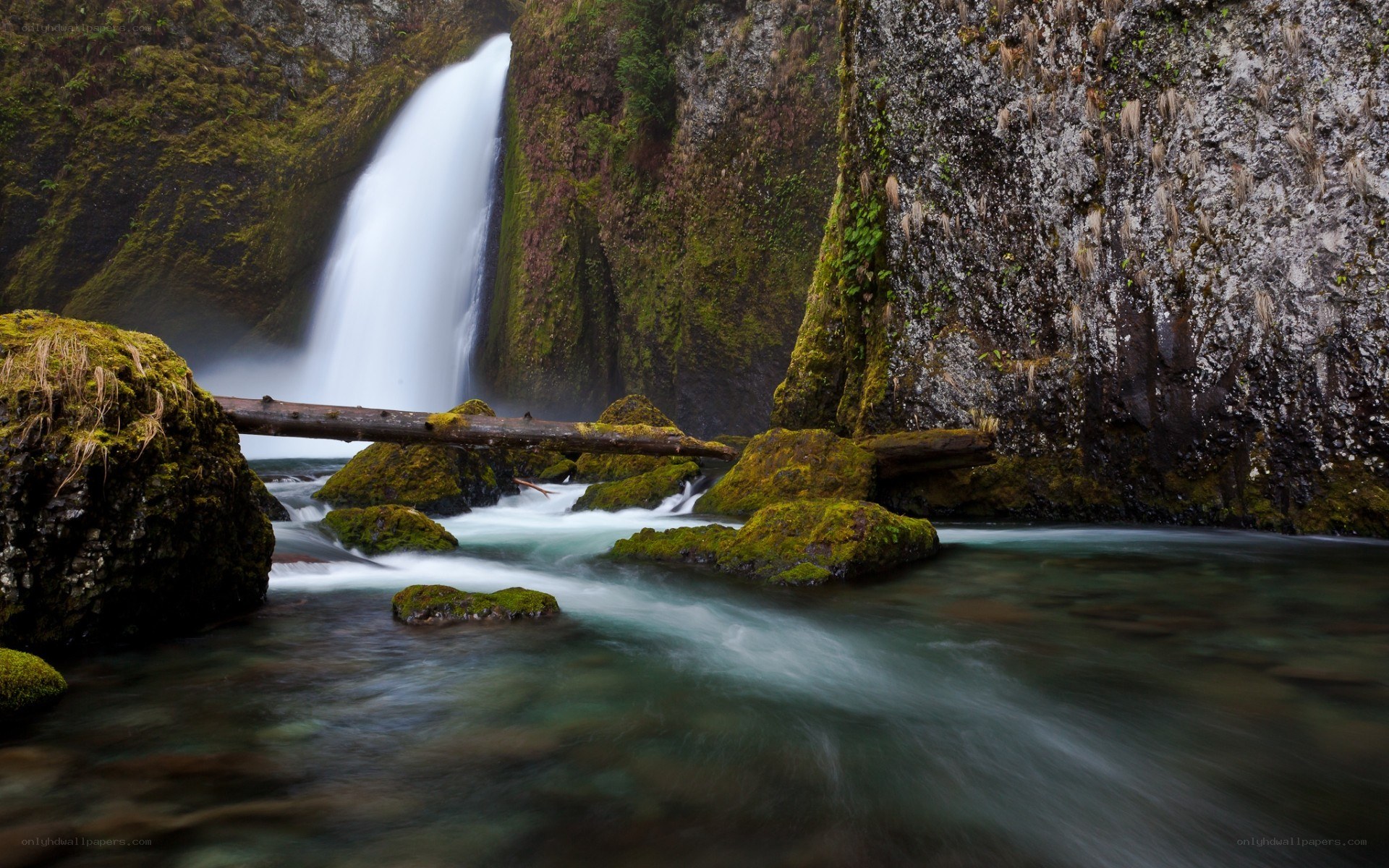 Waterfall in a mossy canyon
