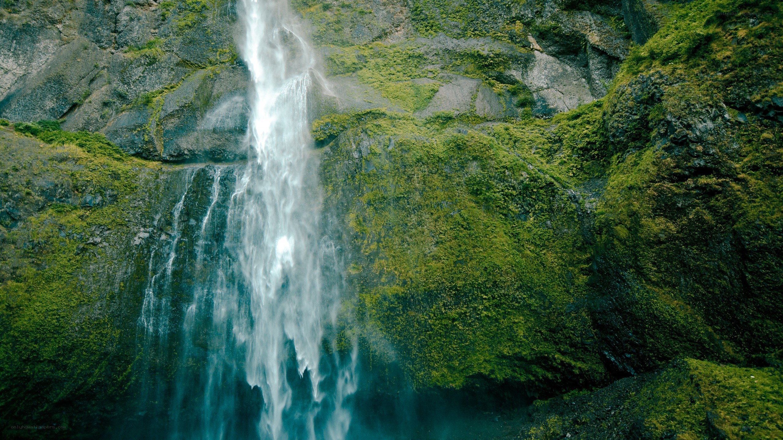 Waterfall in a mossy canyon