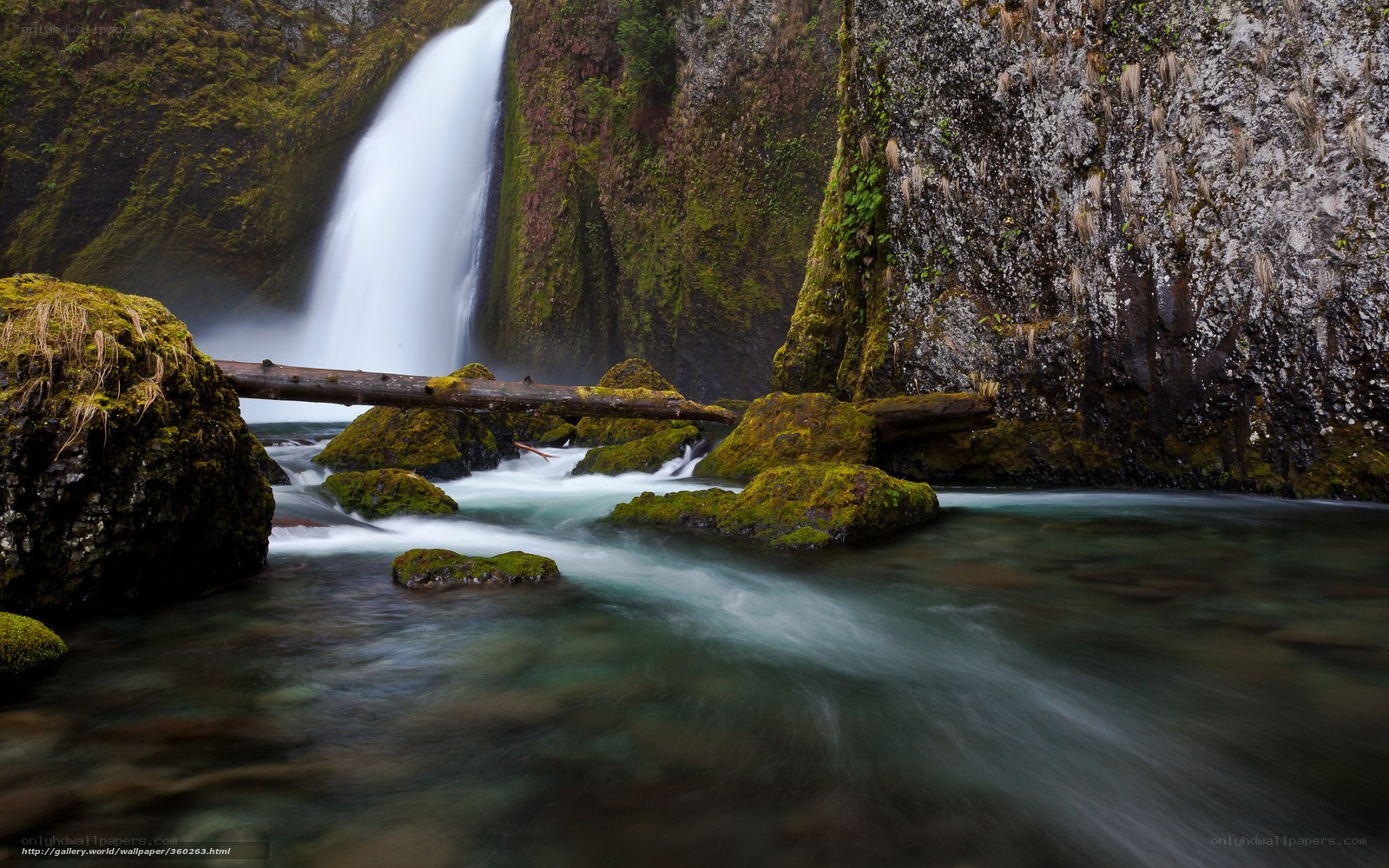 Waterfall in a mossy canyon