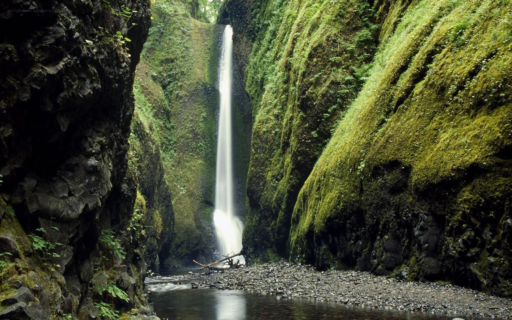 Waterfall in a mossy canyon