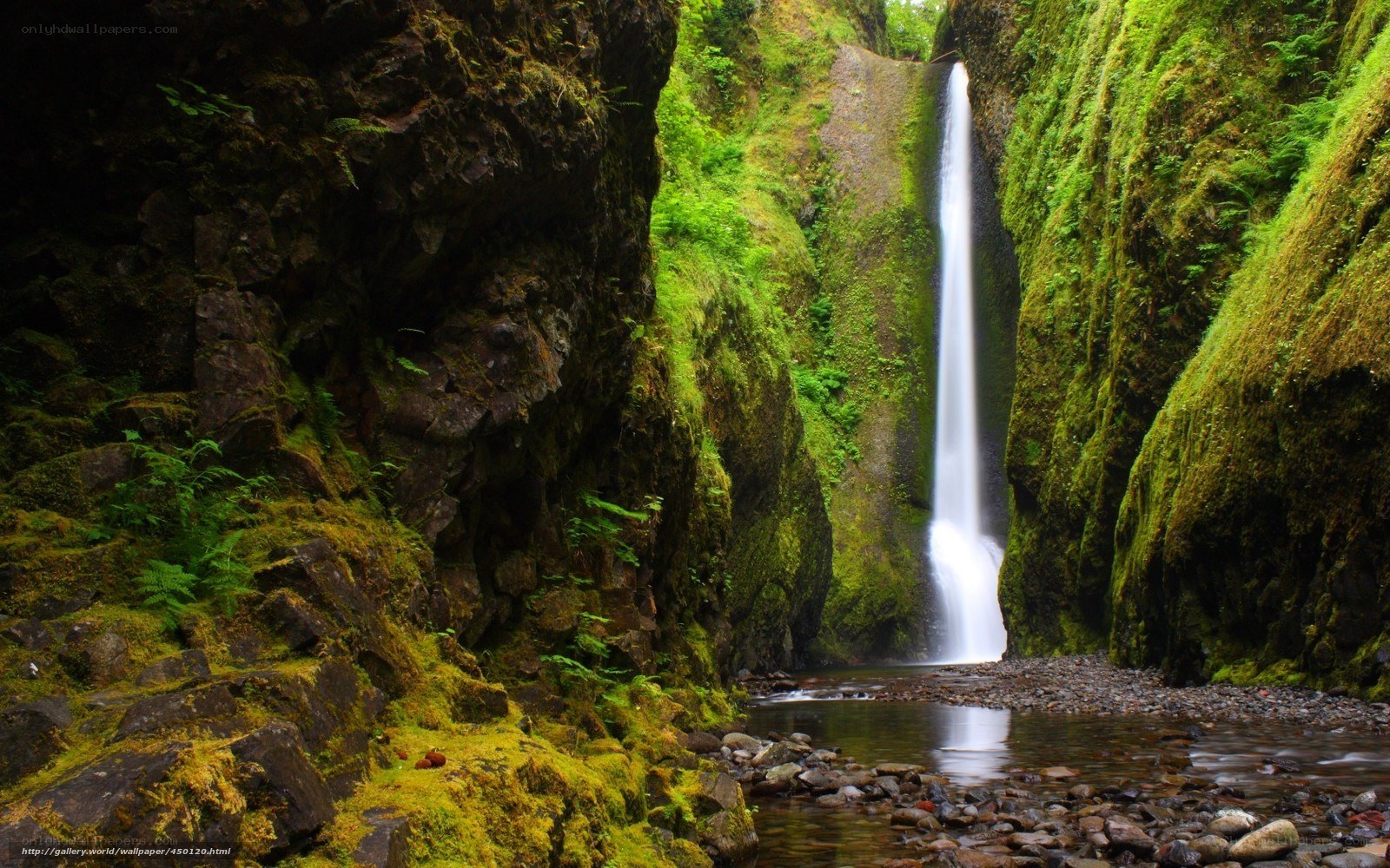Waterfall in a mossy canyon