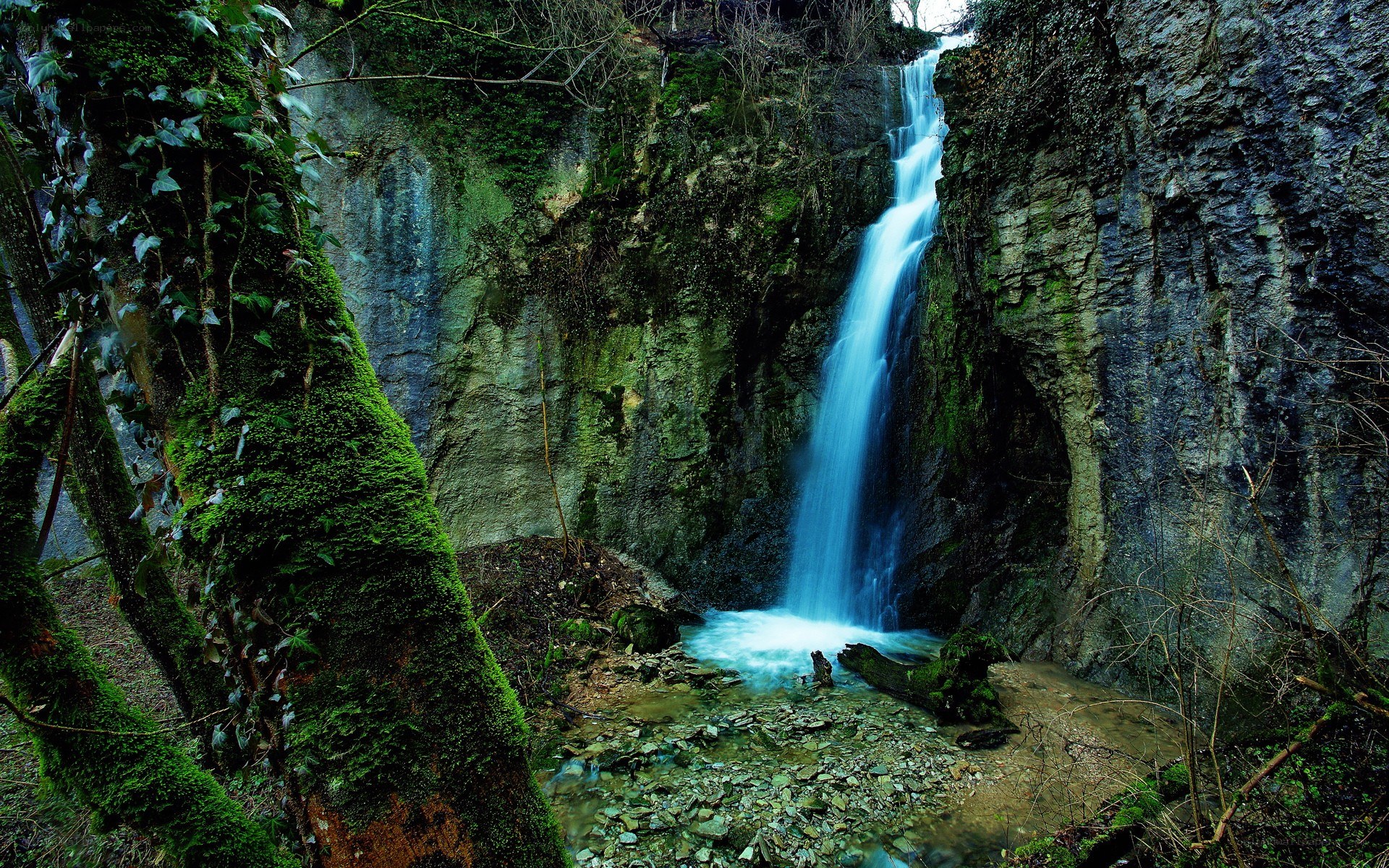Waterfall in a mossy forest