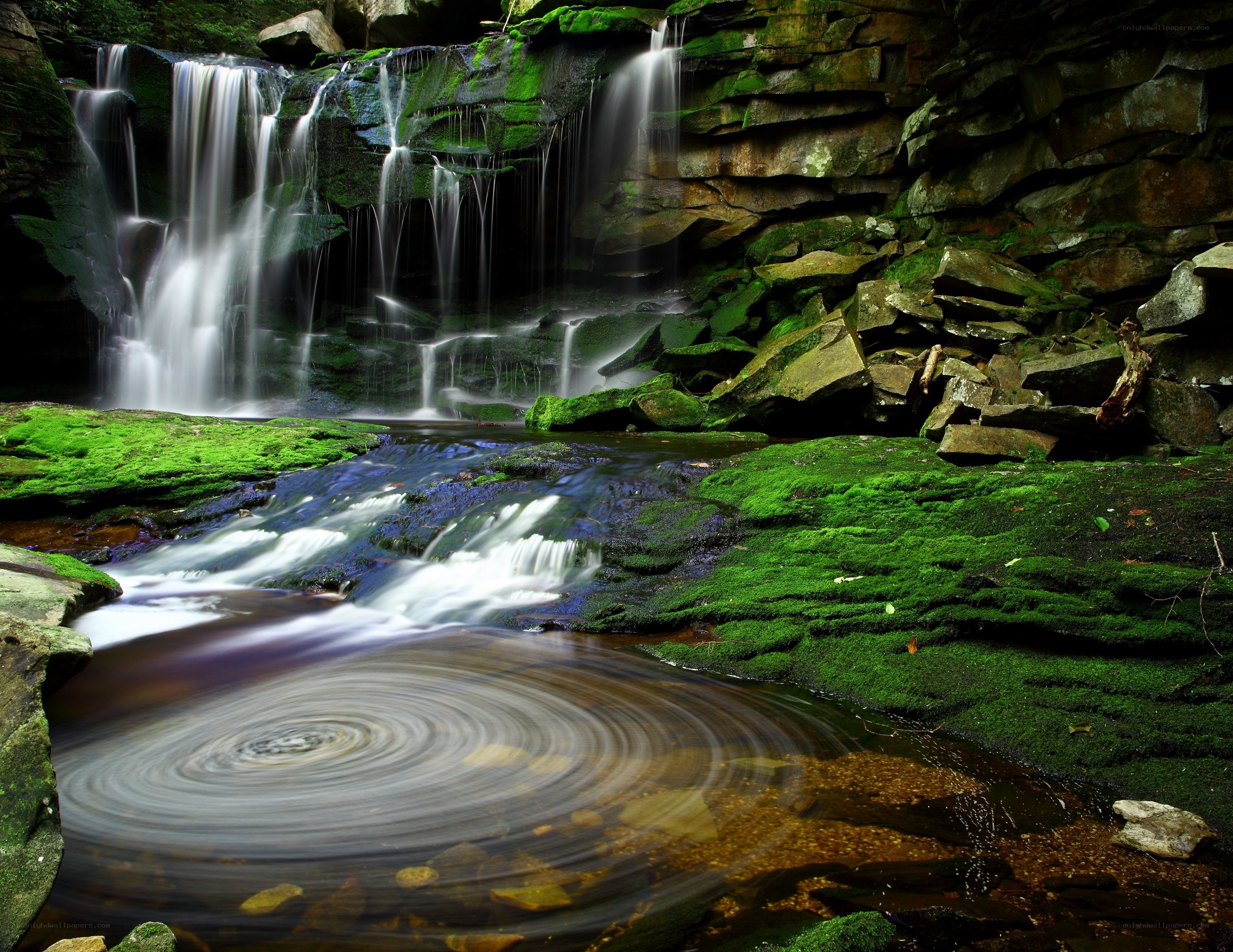 Waterfall in a mossy forest