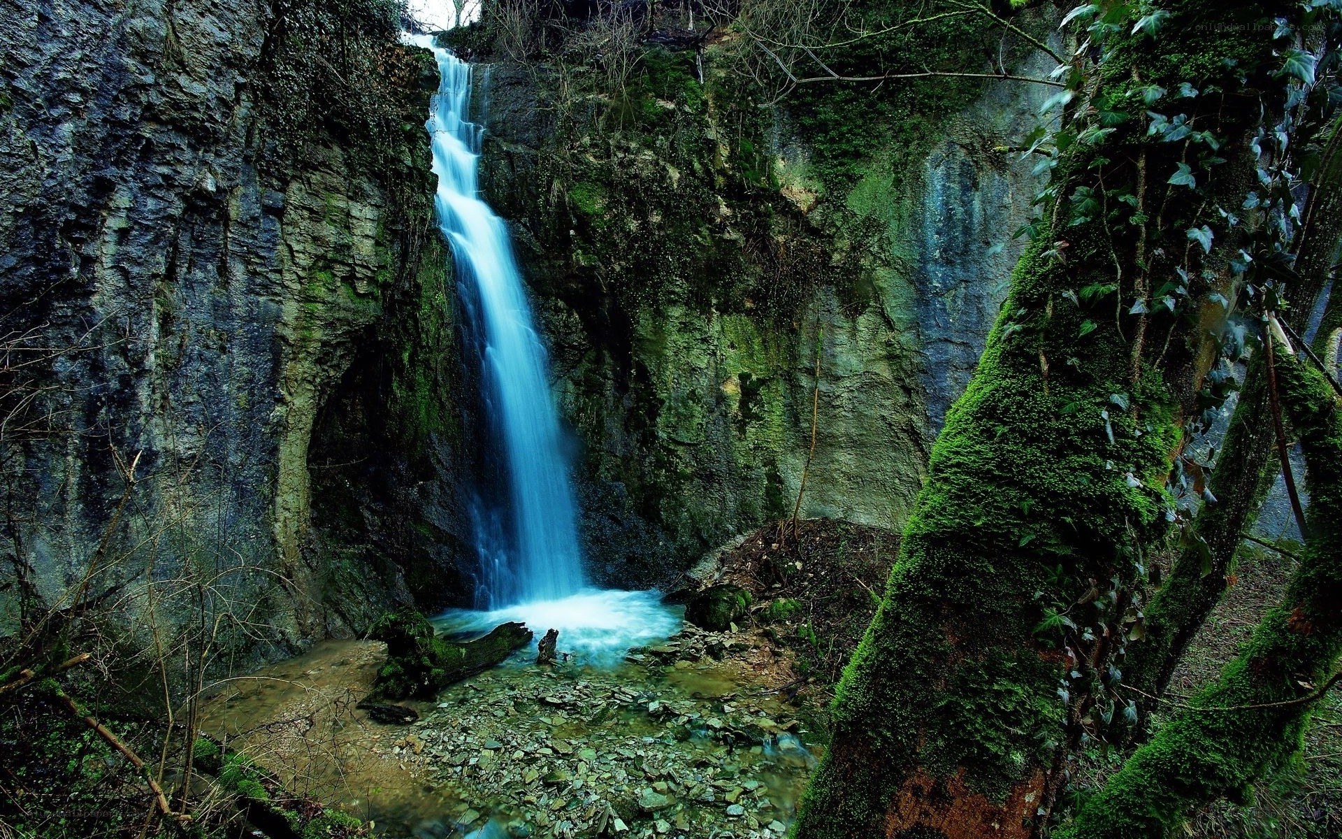 Waterfall in a mossy forest
