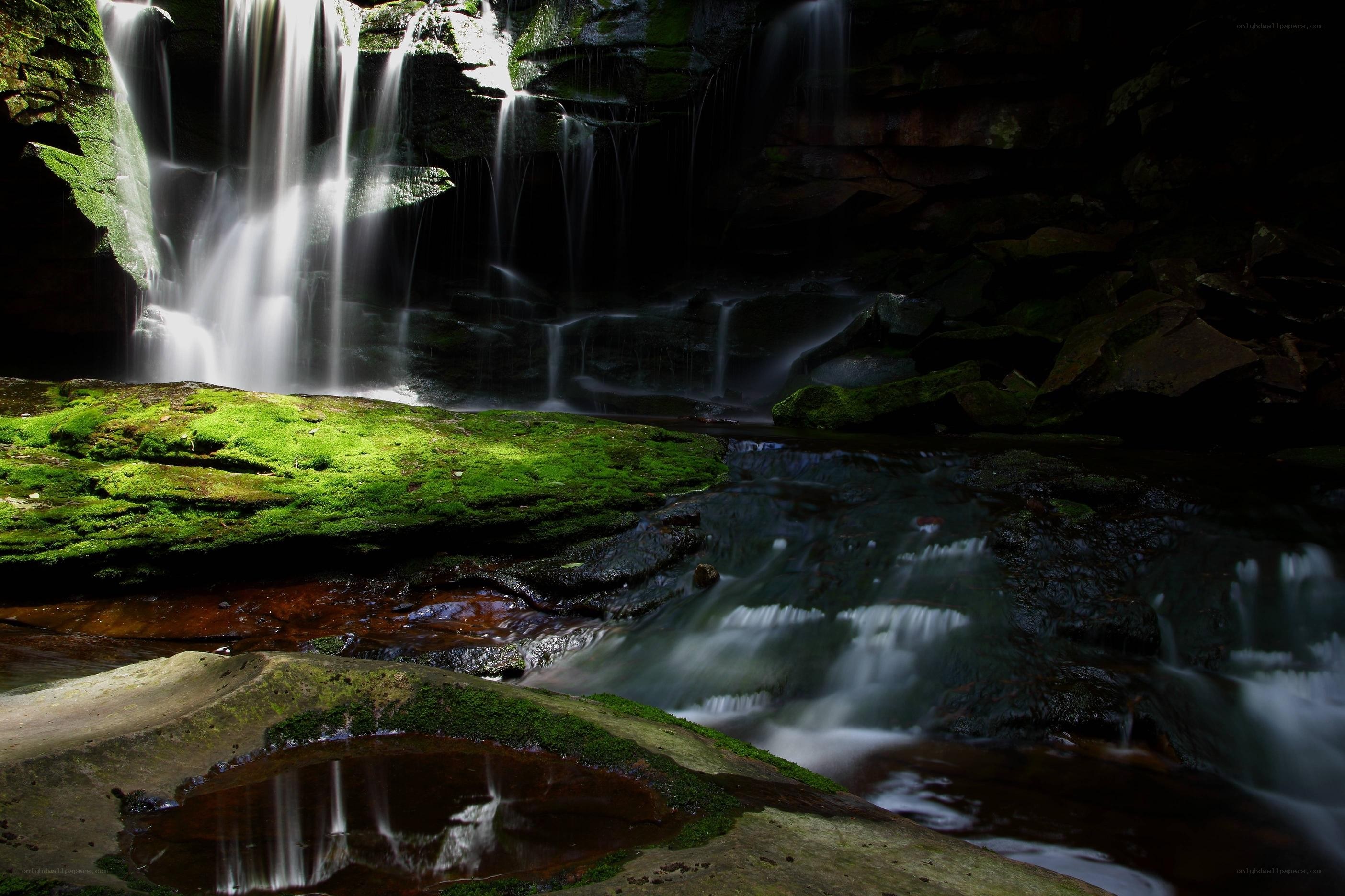 Waterfall in a mossy forest