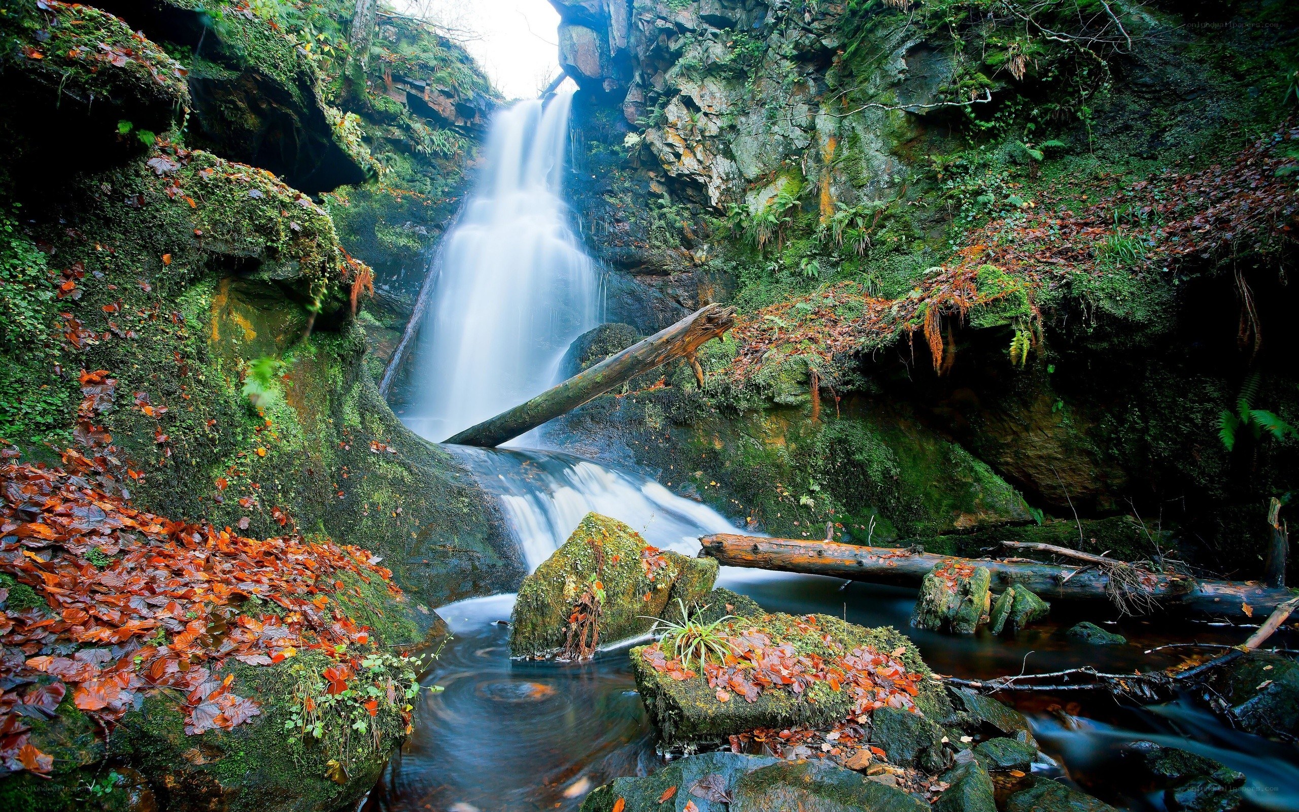 Waterfall in a mossy forest