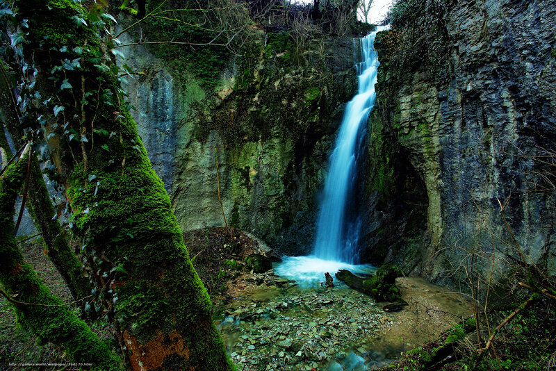 Waterfall in a mossy forest