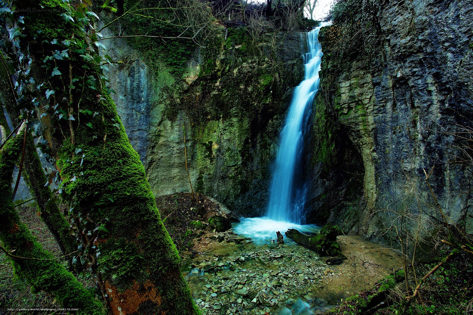 Waterfall in a mossy forest