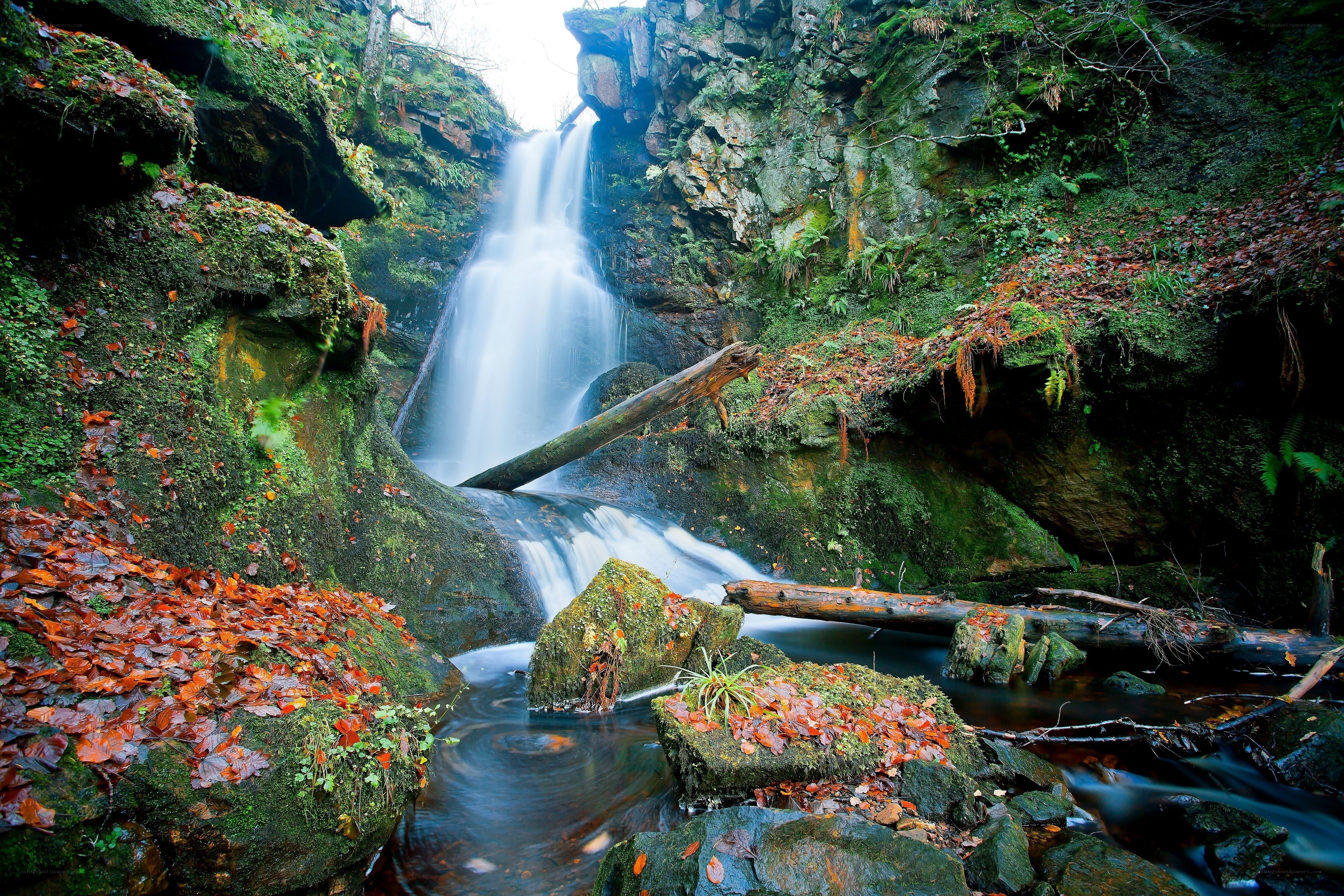 Waterfall in a mossy forest