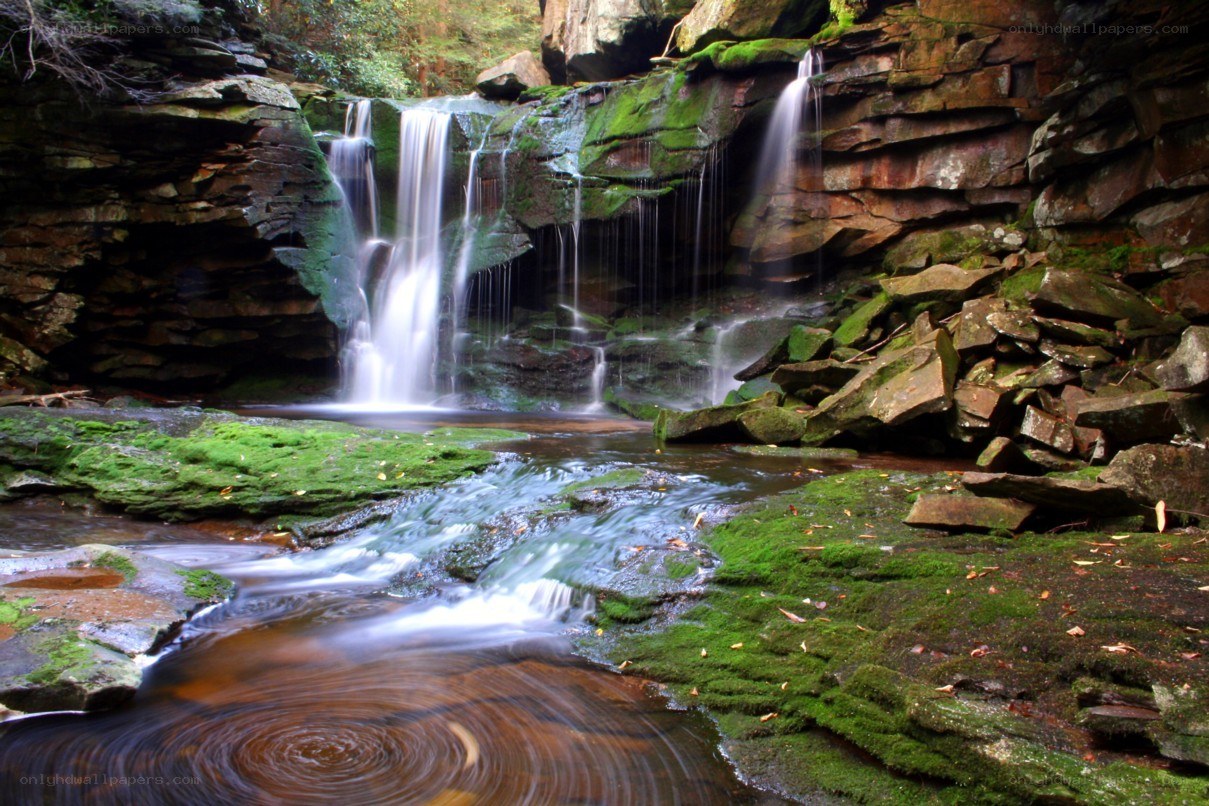 Waterfall in a mossy forest