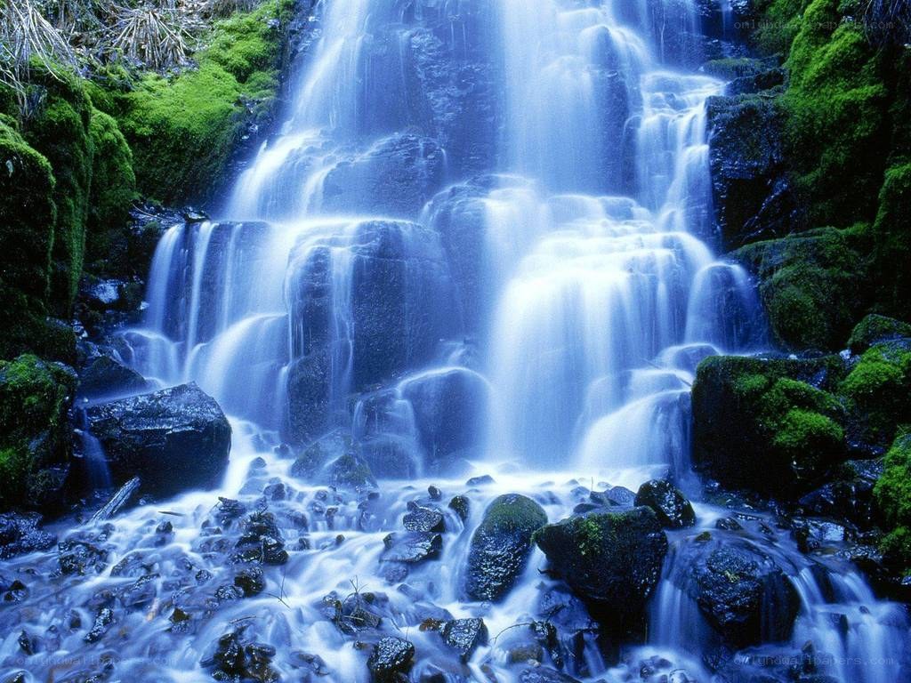 Waterfall in a mossy forest