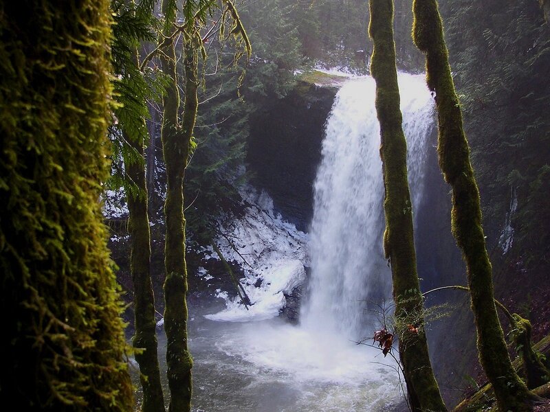 Waterfall in a mossy forest