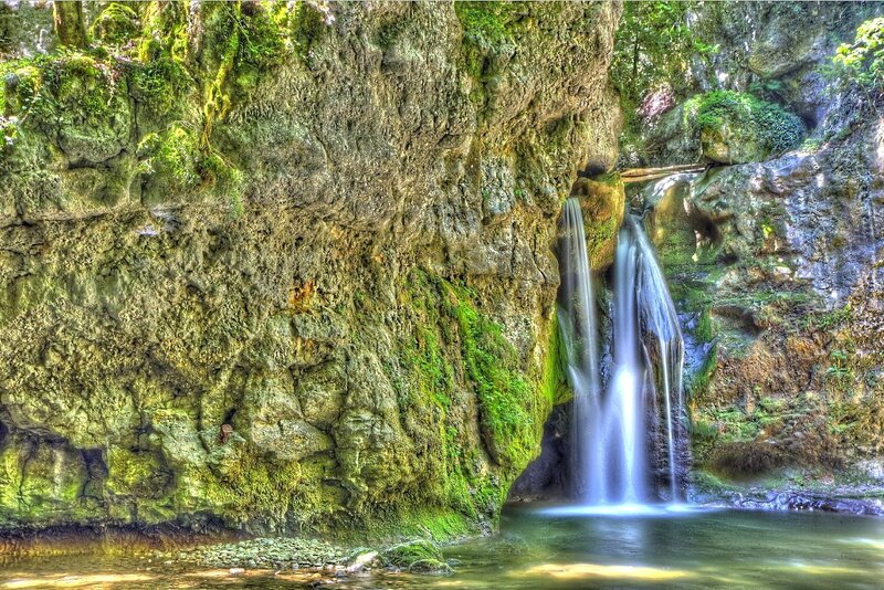 Waterfall in a mossy forest