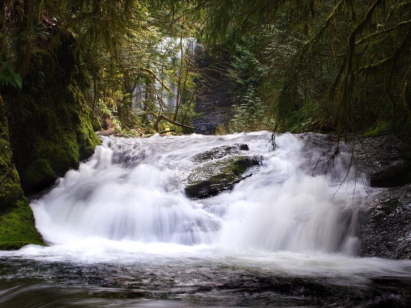 Waterfall in a mossy forest