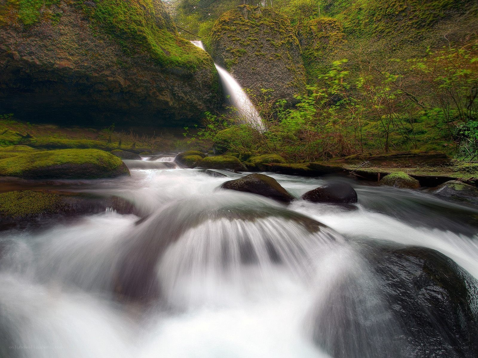 Waterfall in a mossy forest