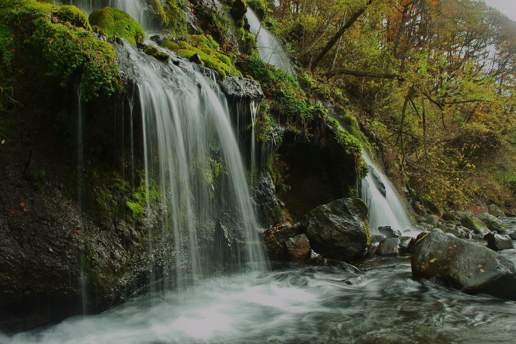 Waterfall in a mossy forest