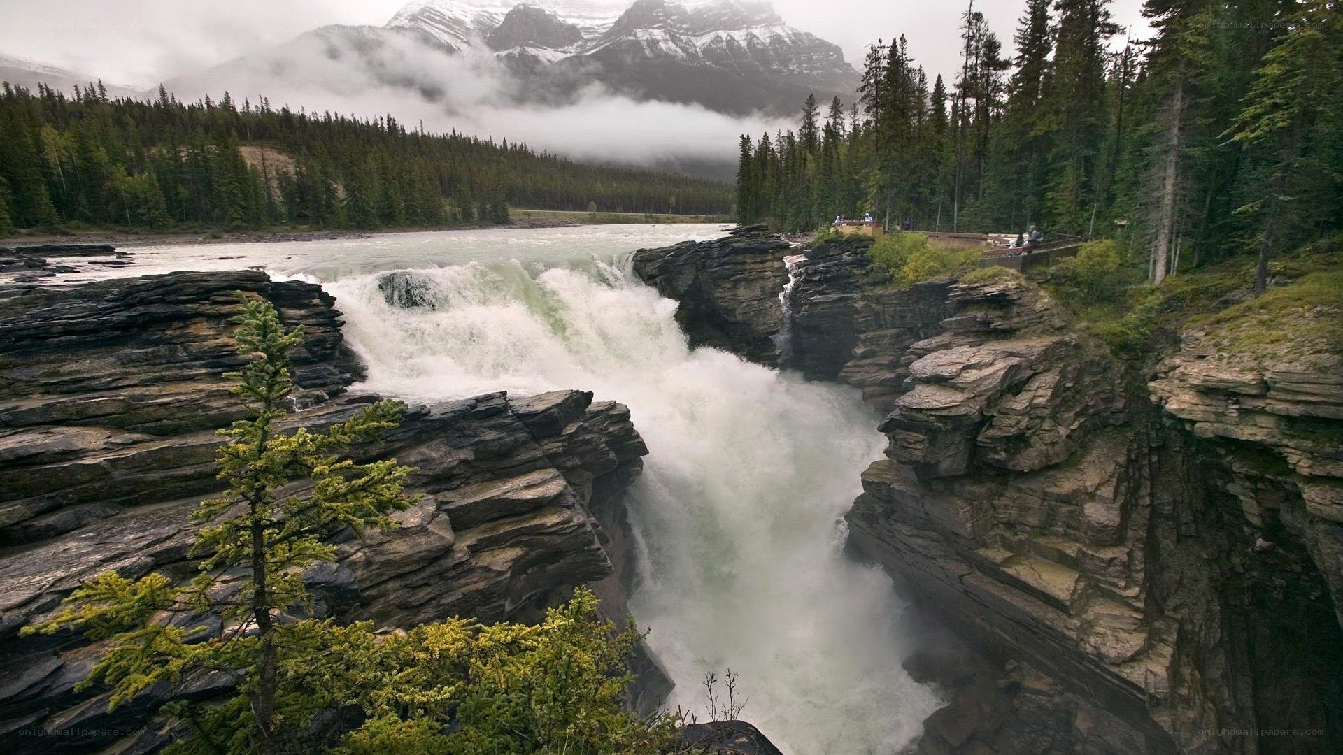 Waterfall in a mountain canyon