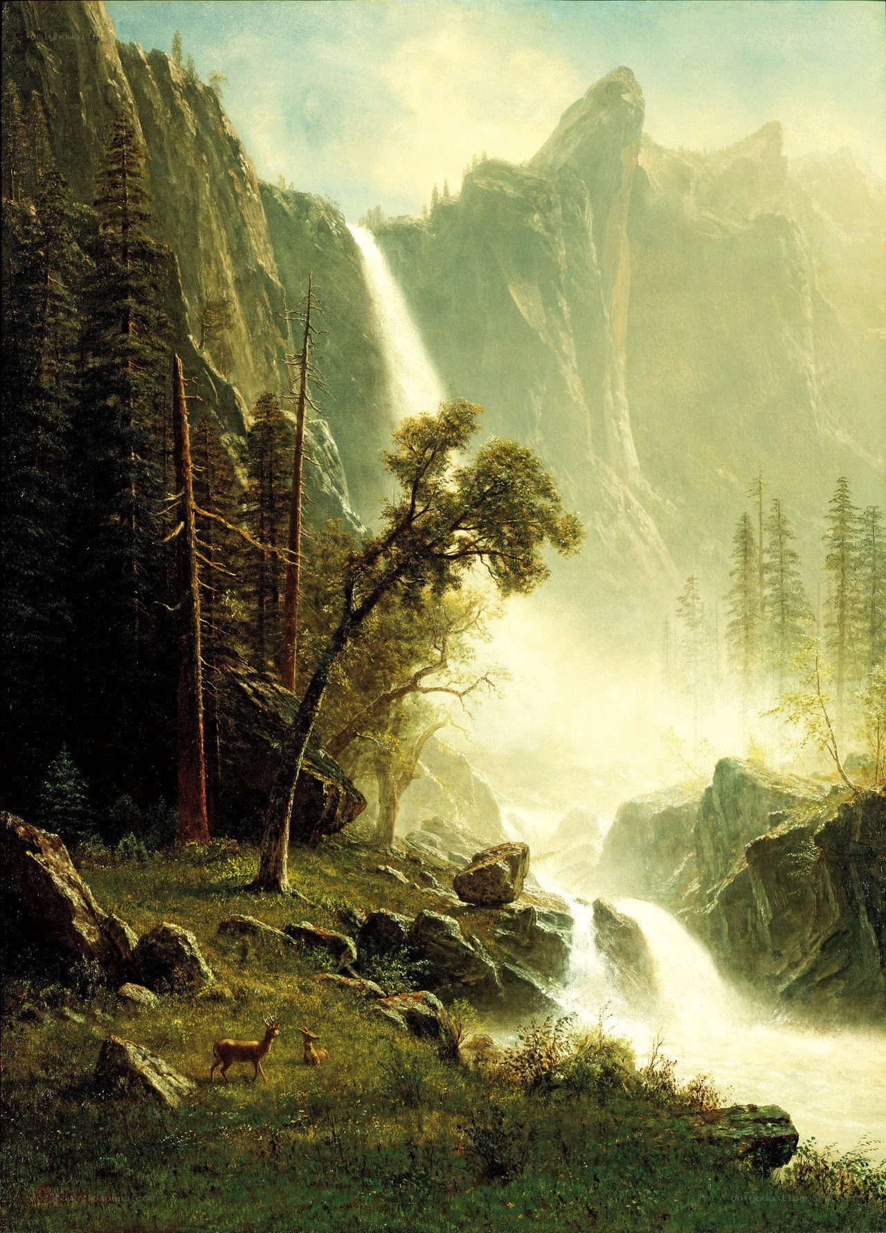 Waterfall in a mountain valley