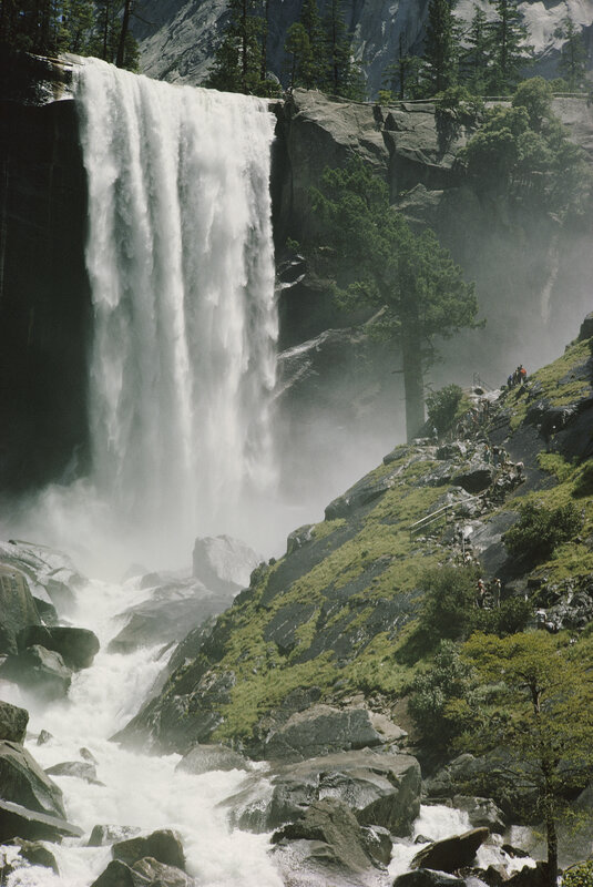 Waterfall in a mountainous forest