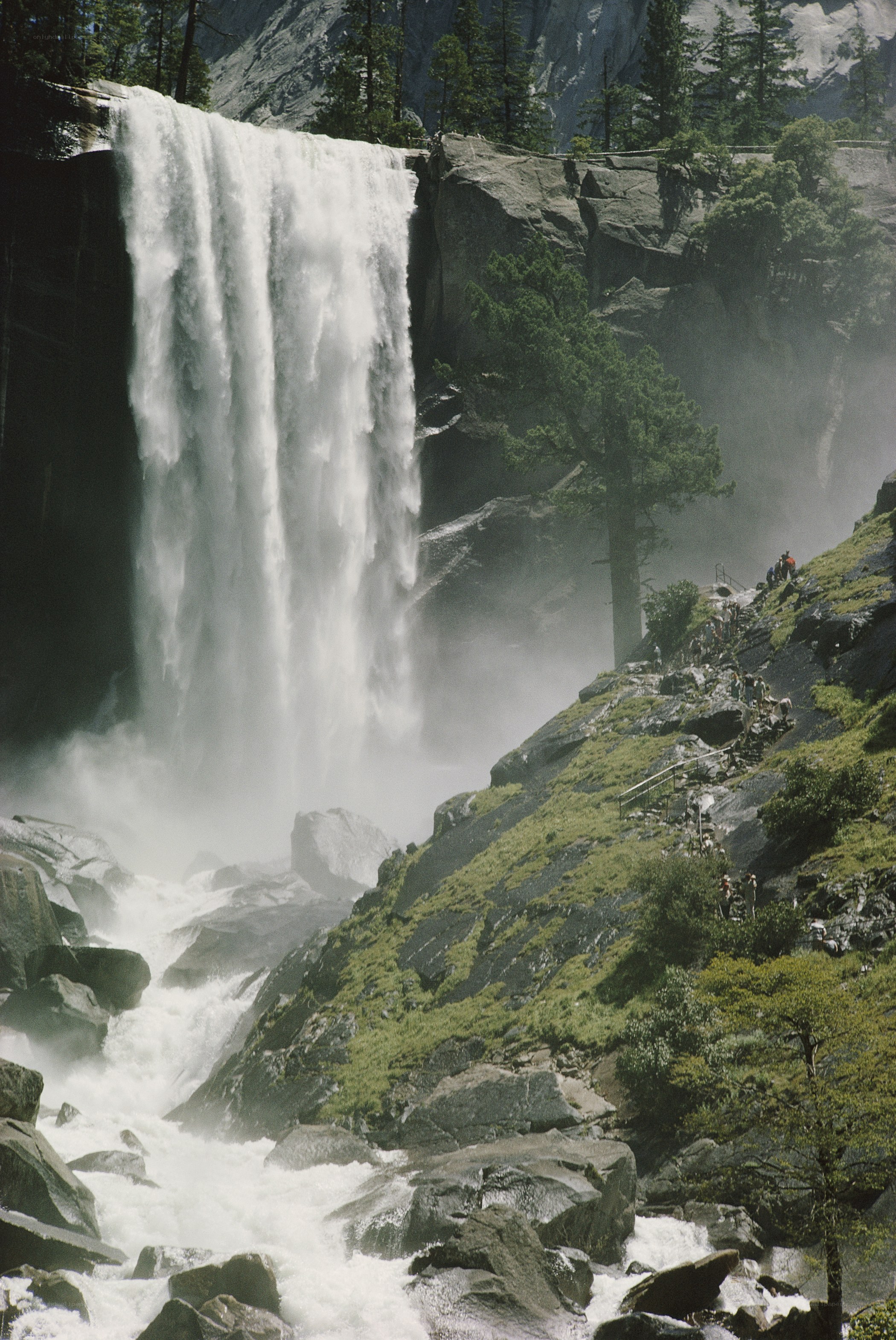 Waterfall in a mountainous forest