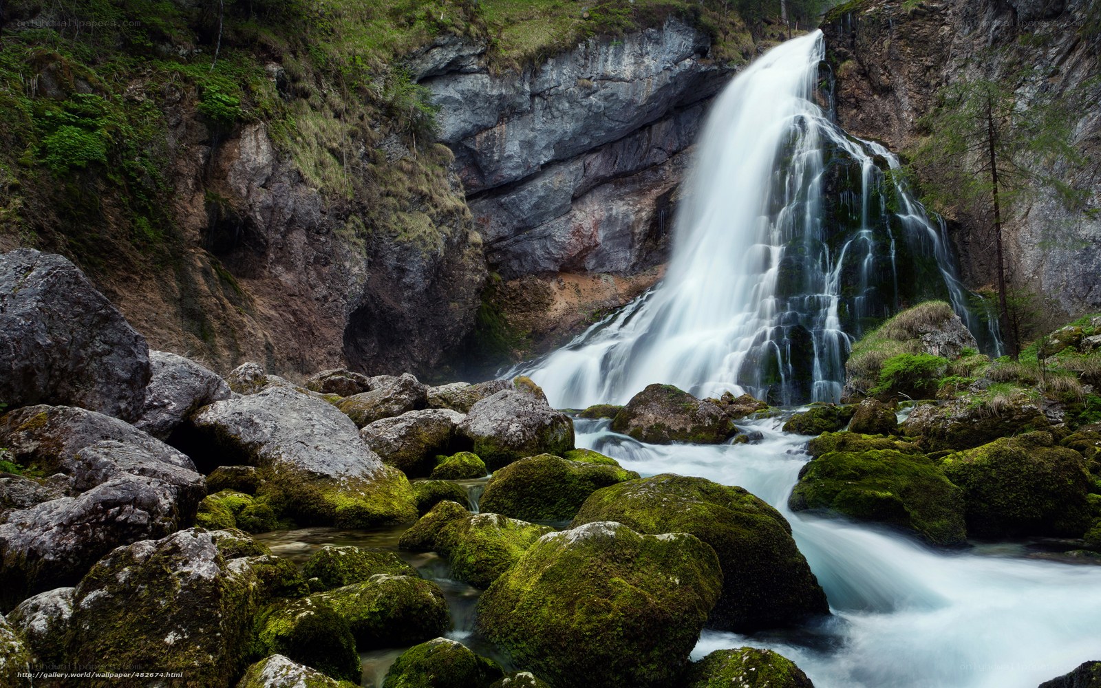 Waterfall in a rocky forest