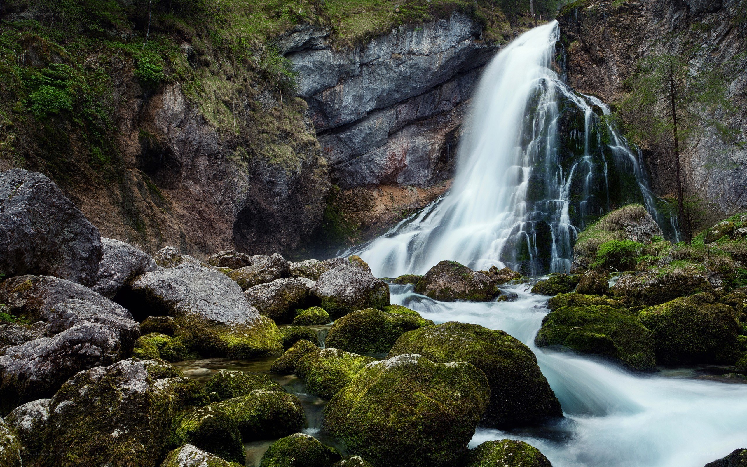 Waterfall in a rocky forest