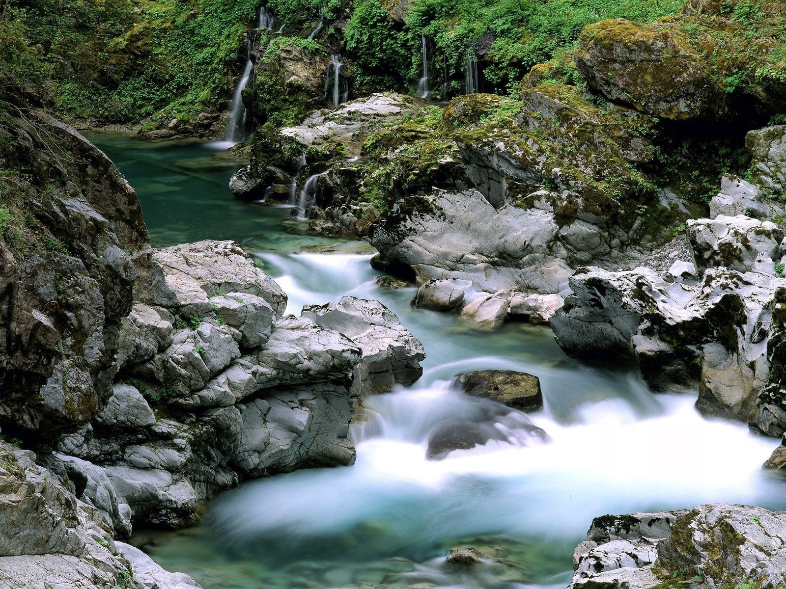 Waterfall in a rocky forest