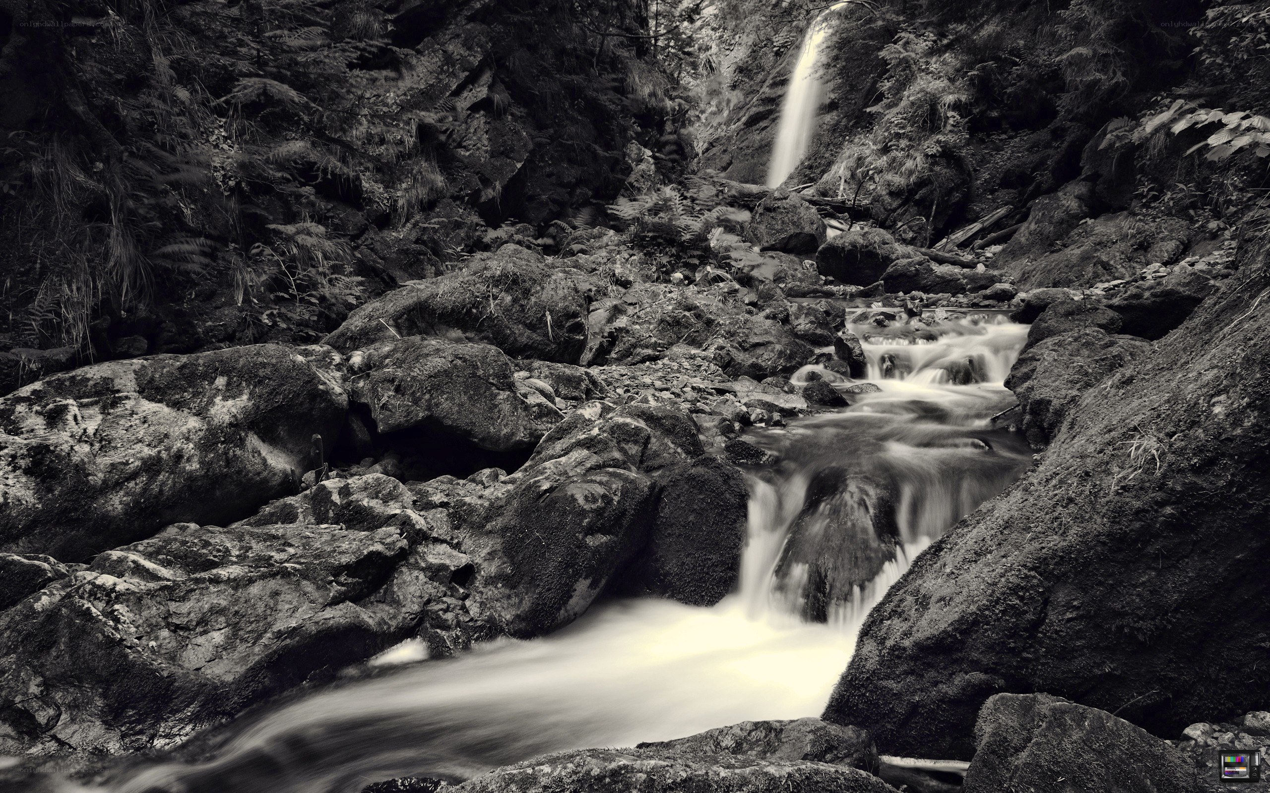 Waterfall in a rocky forest
