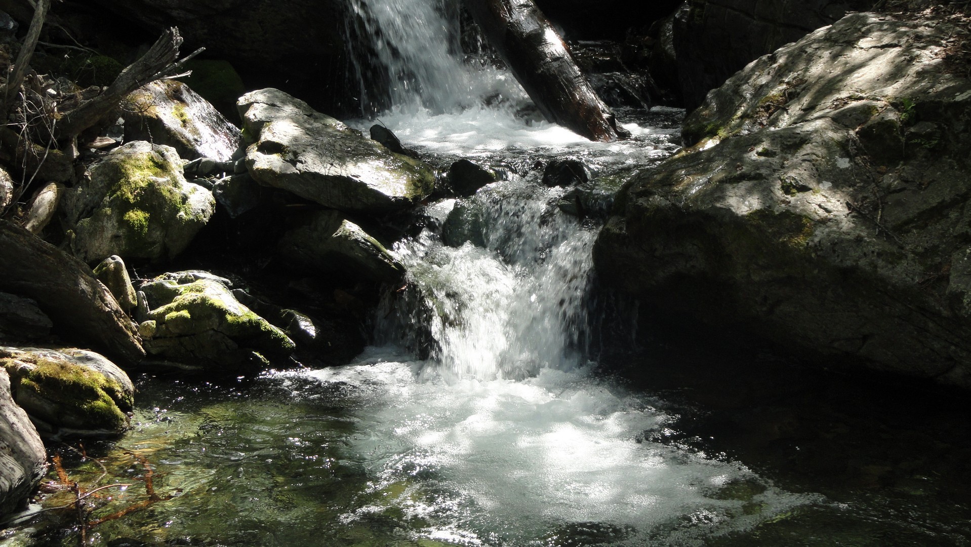 Waterfall in a rocky forest stream