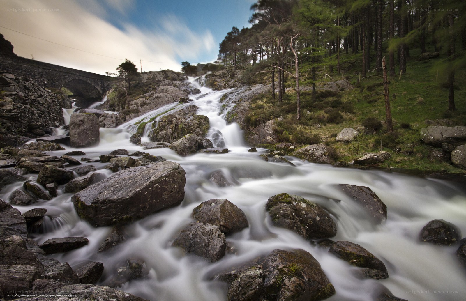 Waterfall in a rocky forest
