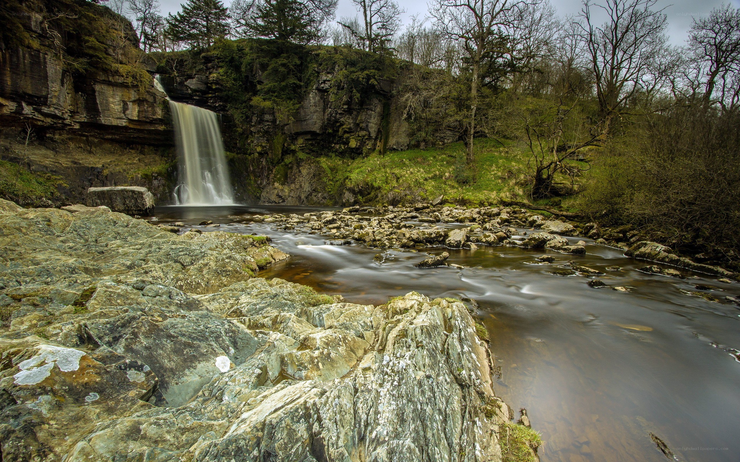 Waterfall in a rocky gorge