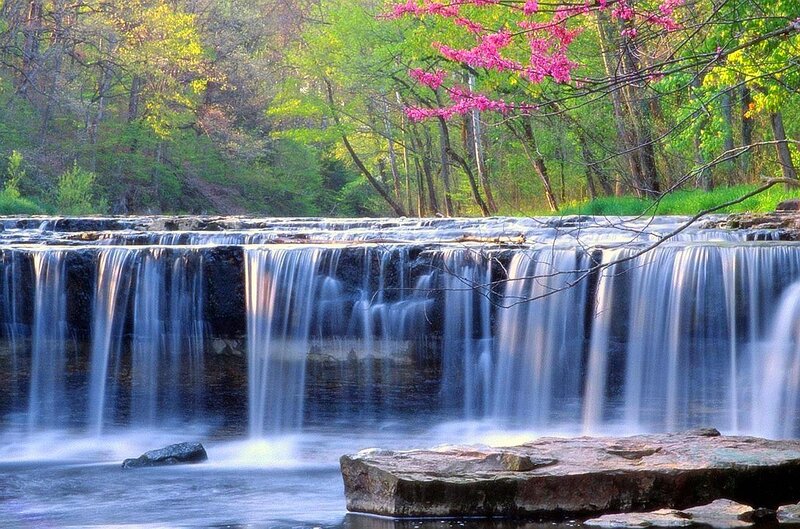 Waterfall in a spring forest