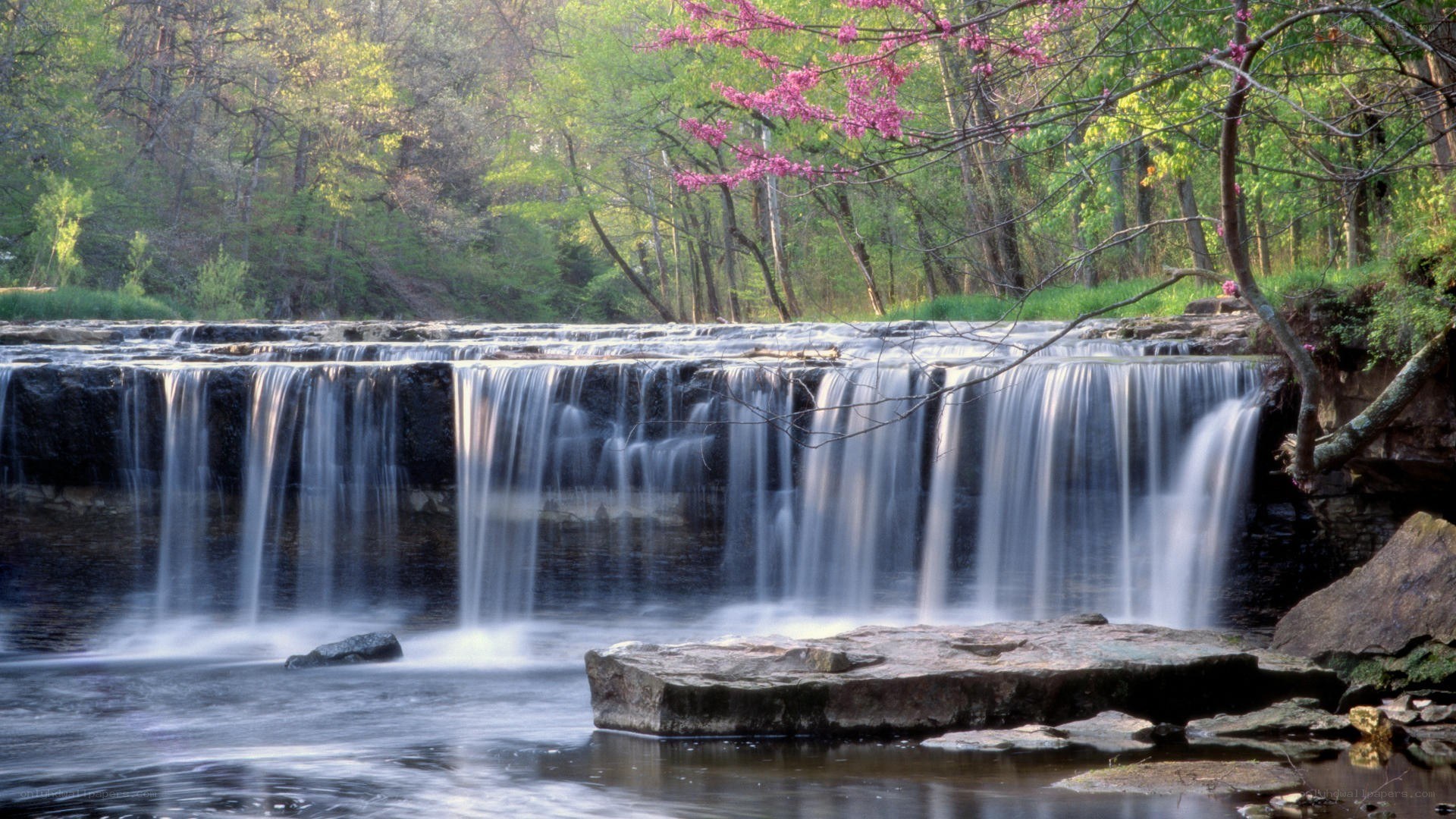 Waterfall in a spring forest