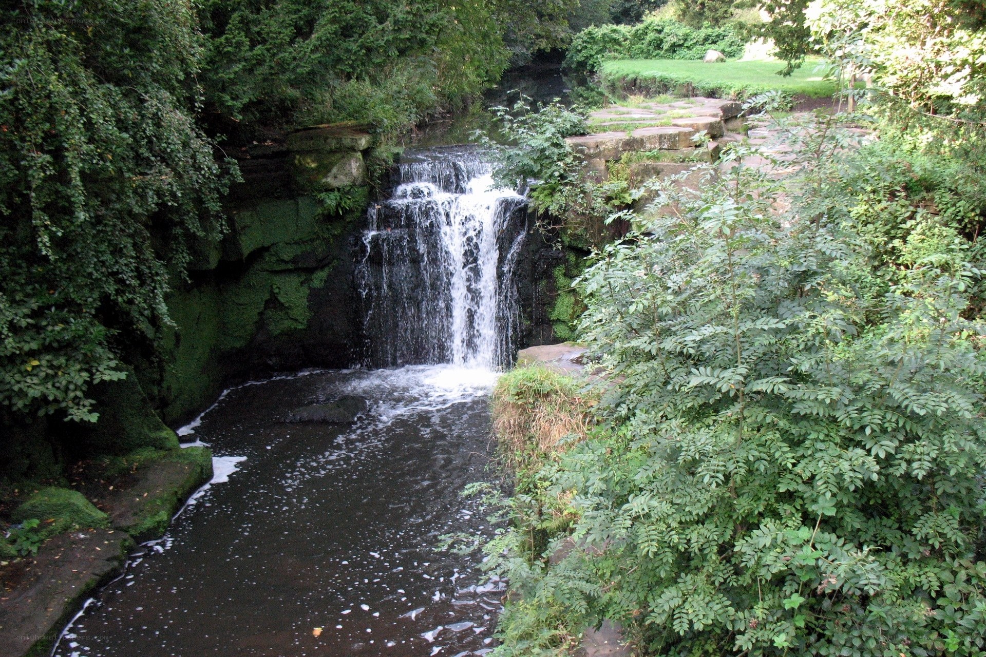 Waterfall in a wooded area