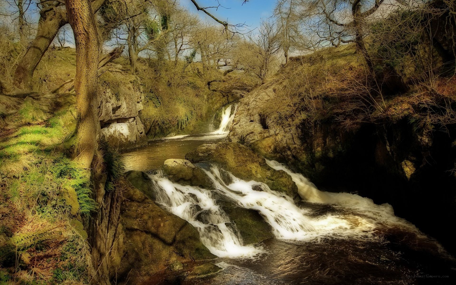 Waterfall in a wooded gorge