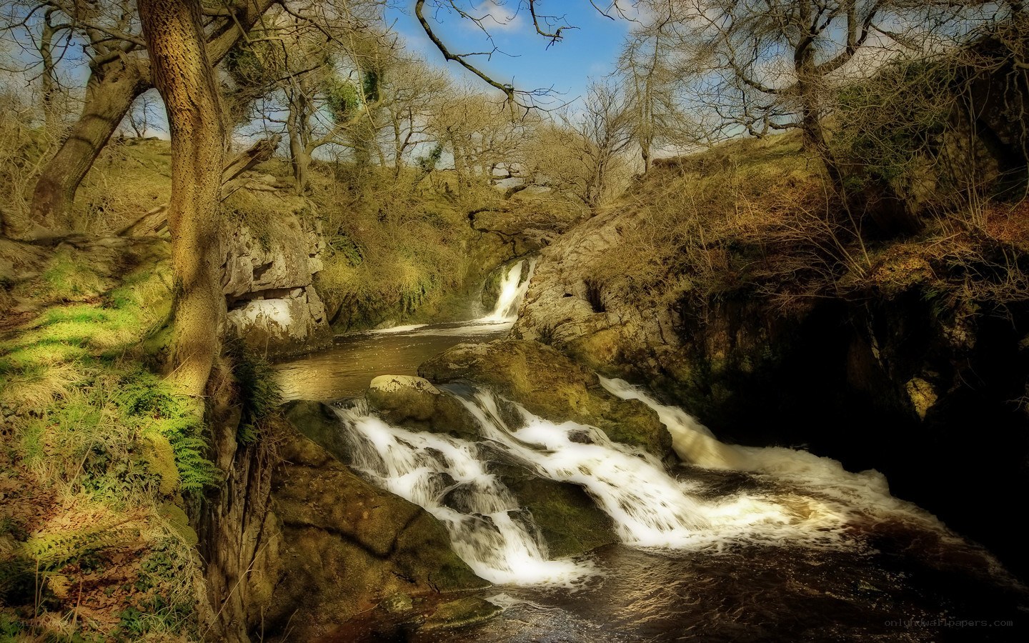 Waterfall in a wooded valley
