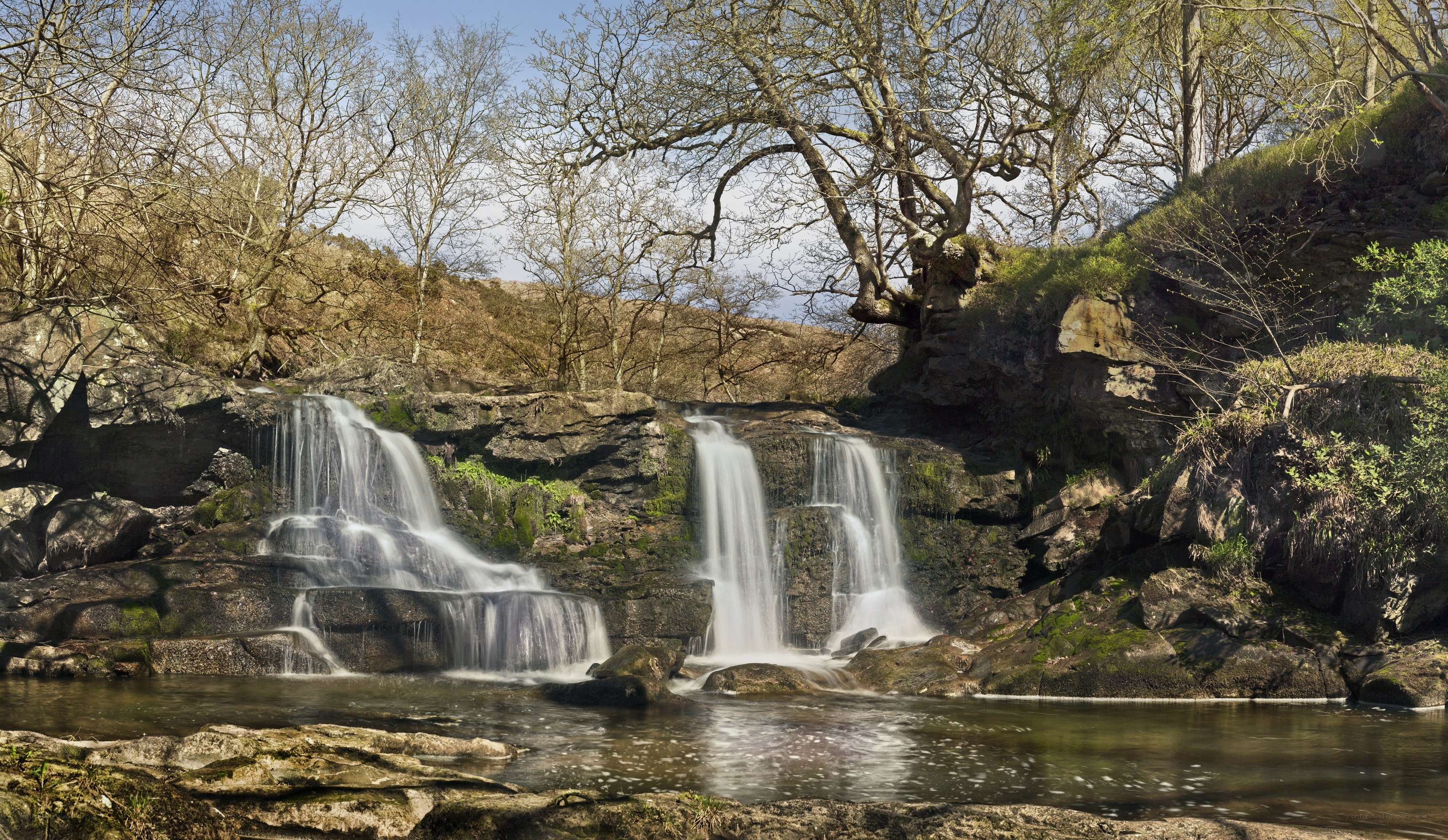 Waterfall in a wooded valley