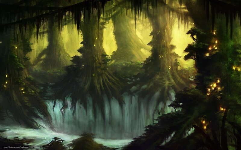 Waterfall in Ancient Forest