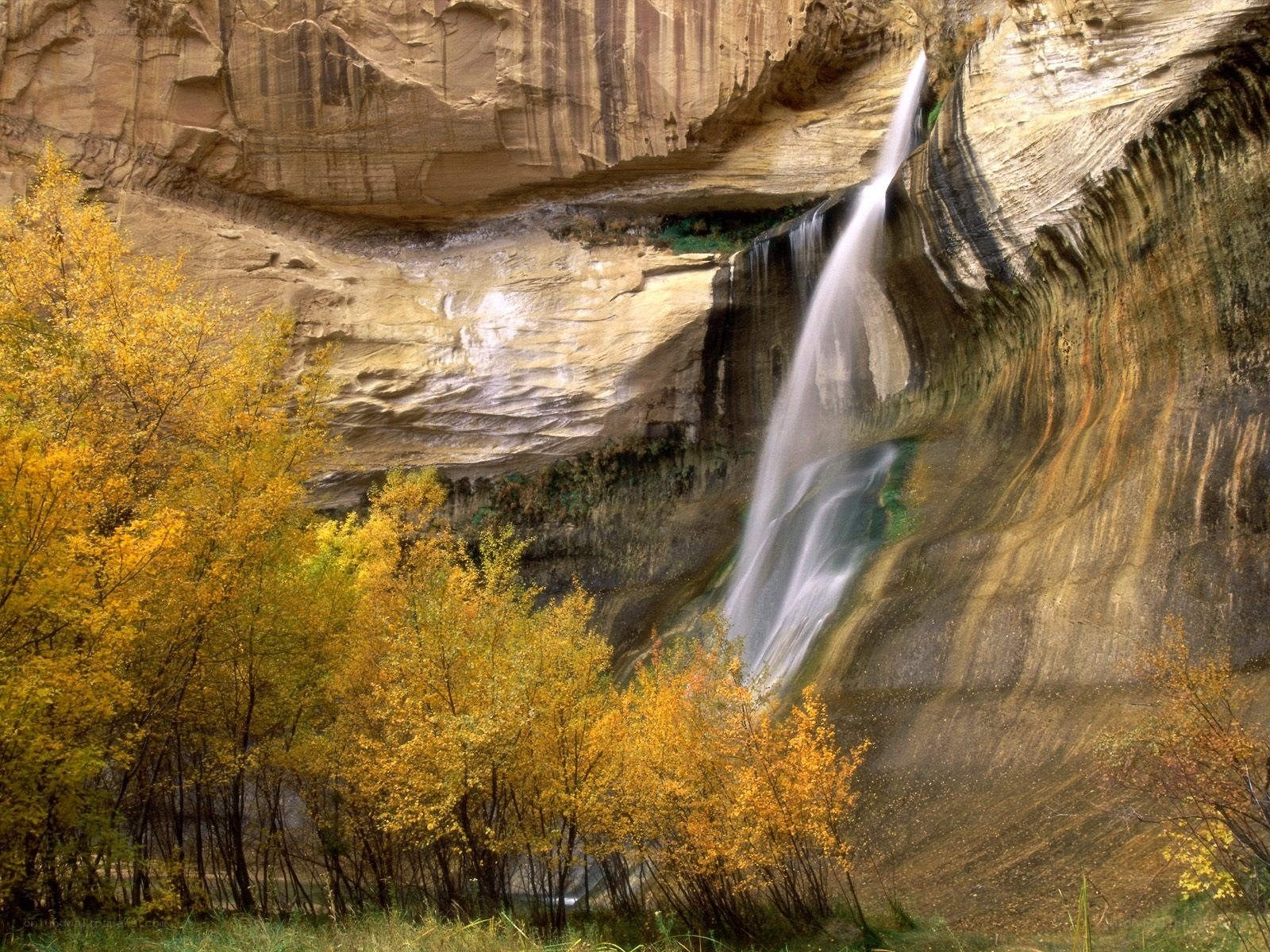 Waterfall in autumn canyon