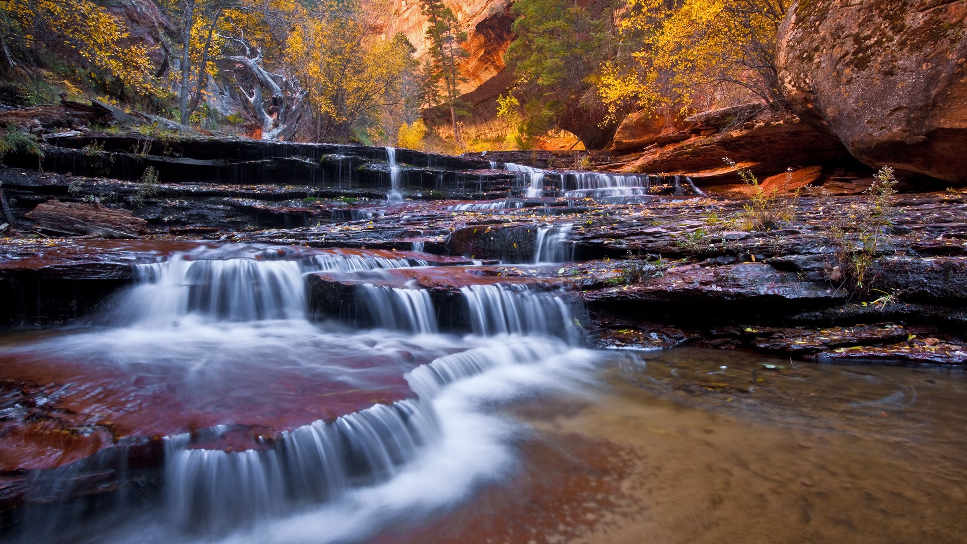 Waterfall in autumn canyon
