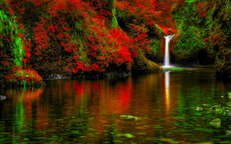 Waterfall in Autumn Canyon — Red