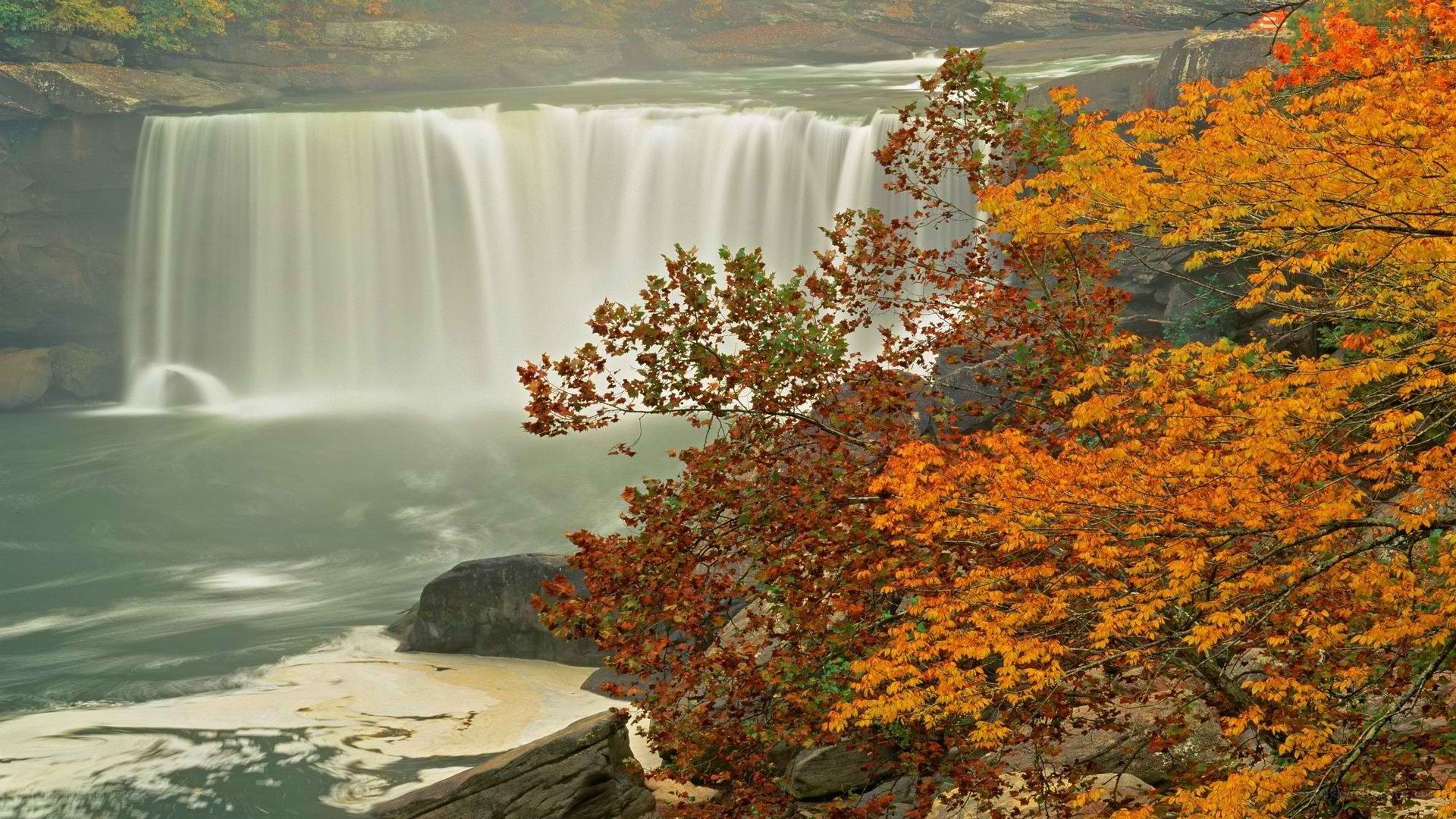 Waterfall in autumn foliage