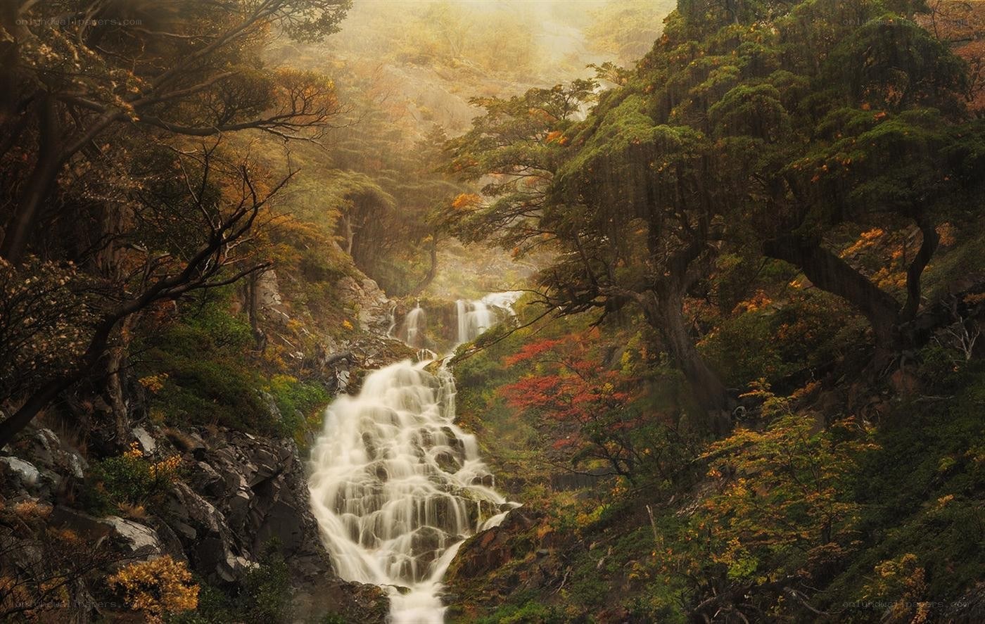 Waterfall in autumn forest