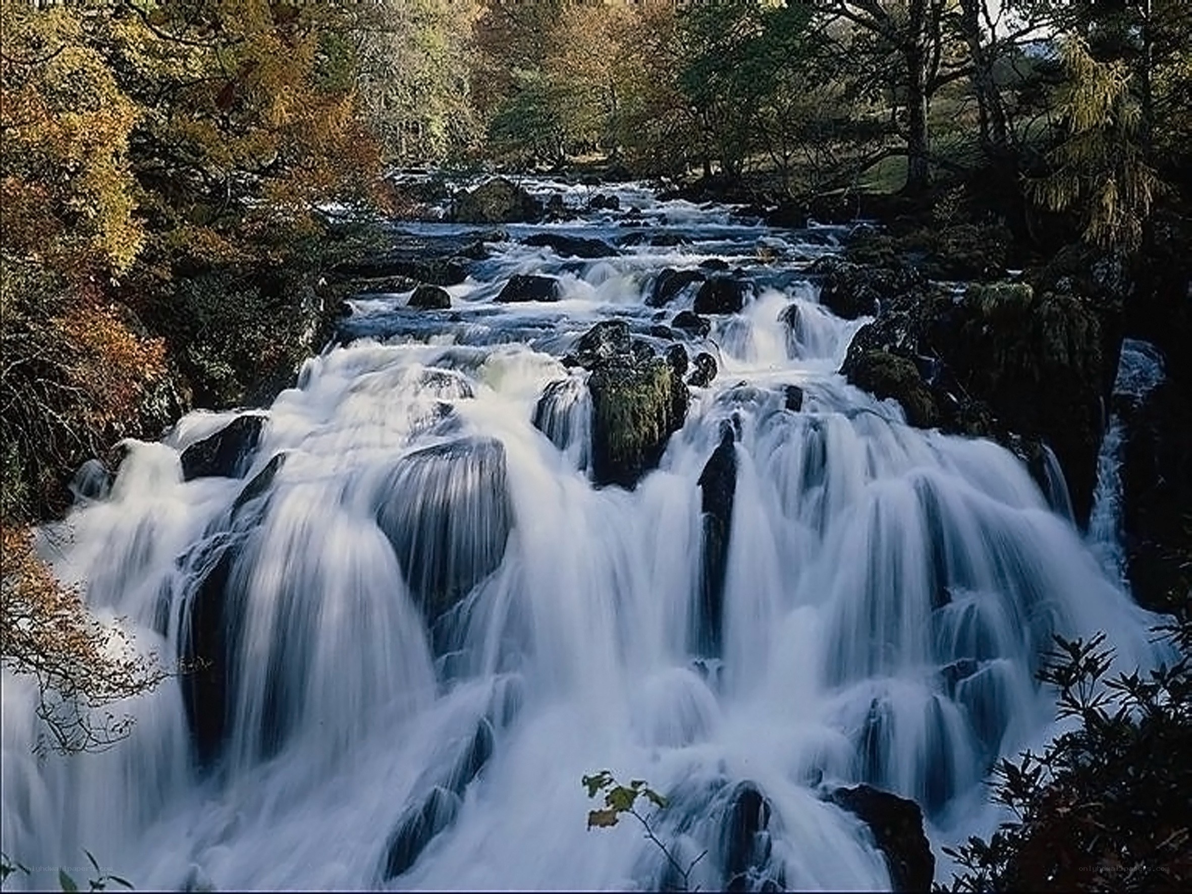 Waterfall in autumn forest