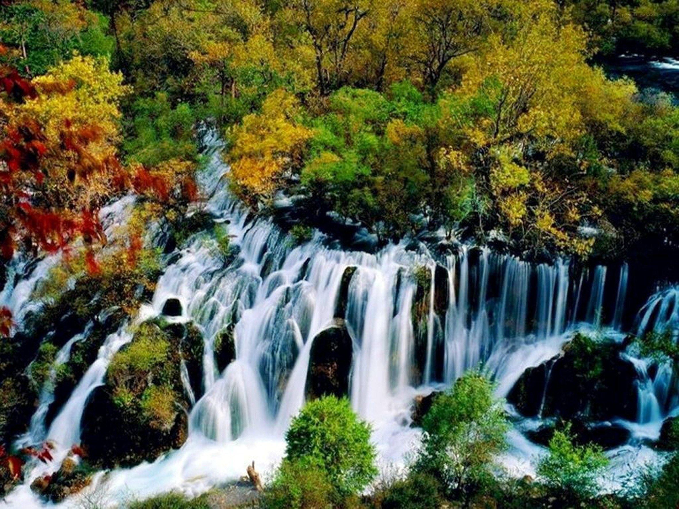 Waterfall in autumn forest