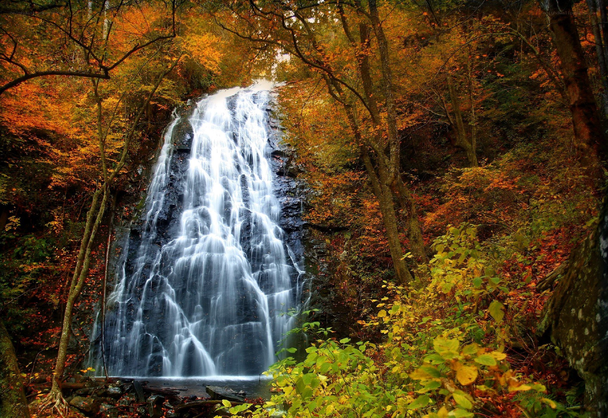 Waterfall in autumn forest