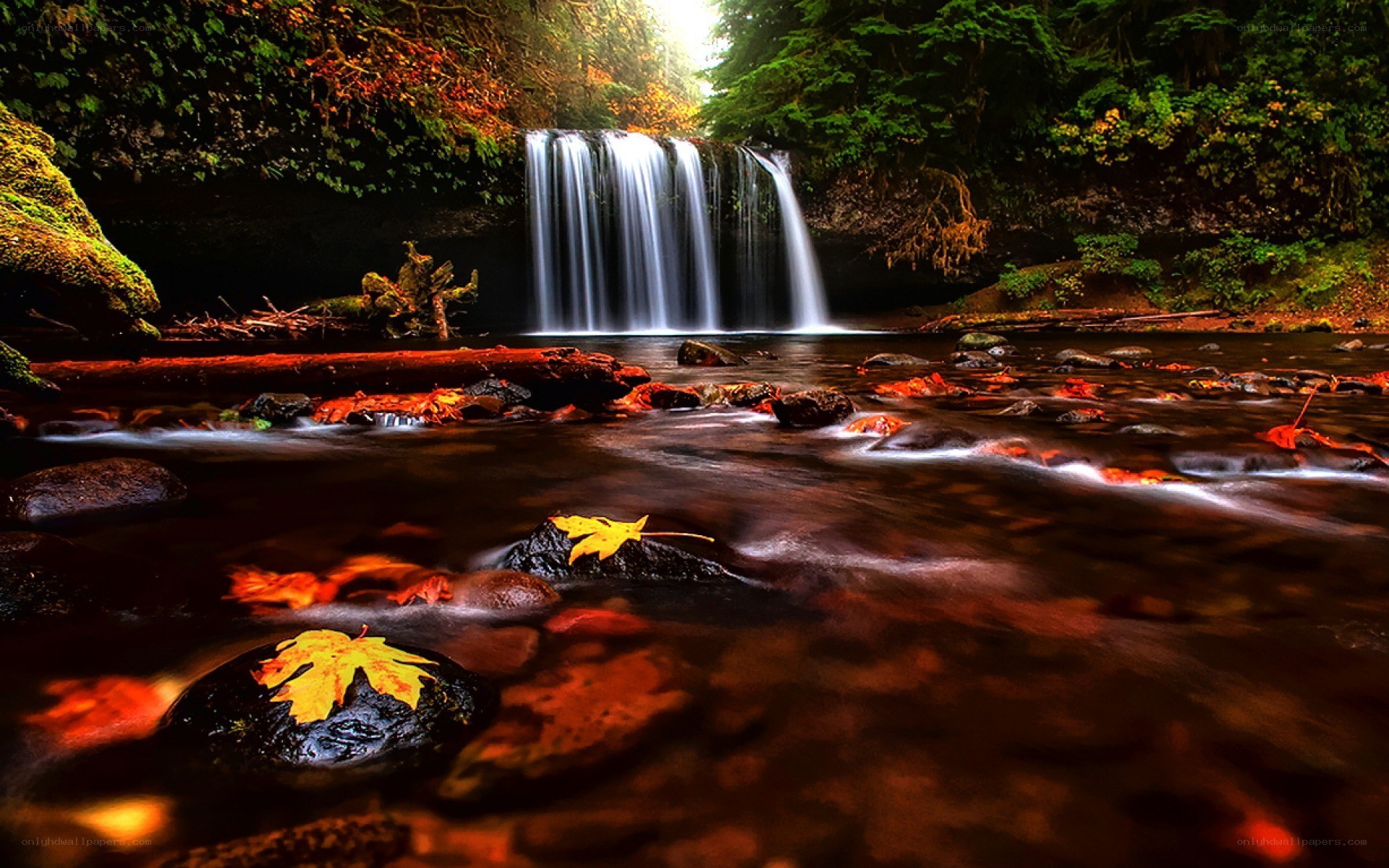 Waterfall in autumn forest
