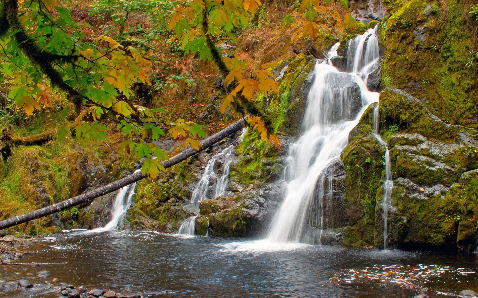 Waterfall in autumn forest